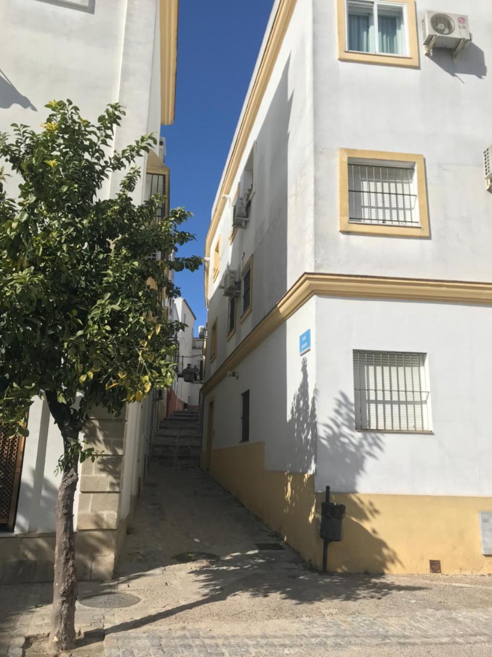 Apartamento !!Vive Jerez!! Jerez de la Frontera Zewnętrze zdjęcie