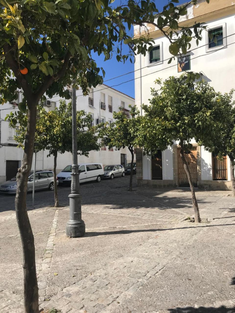 Apartamento !!Vive Jerez!! Jerez de la Frontera Zewnętrze zdjęcie